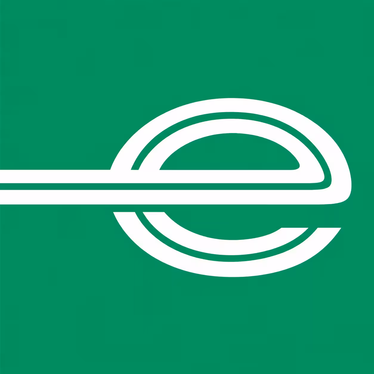 Express Fleet